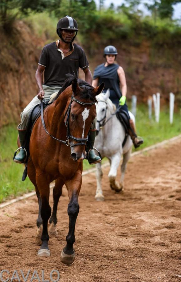 Cavalo Guesthouse & Equestrian Estate Drummond 外观 照片