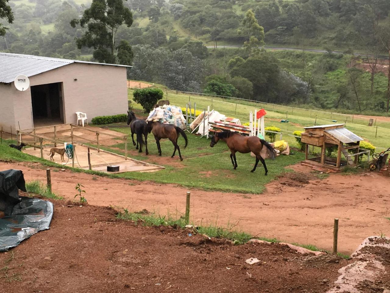Cavalo Guesthouse & Equestrian Estate Drummond 外观 照片