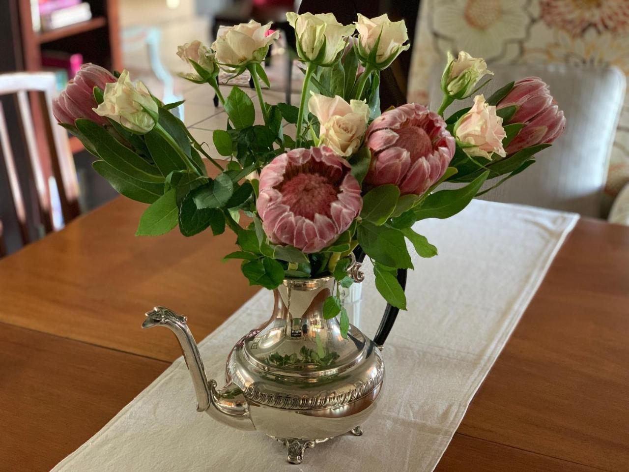 Cavalo Guesthouse & Equestrian Estate Drummond 外观 照片