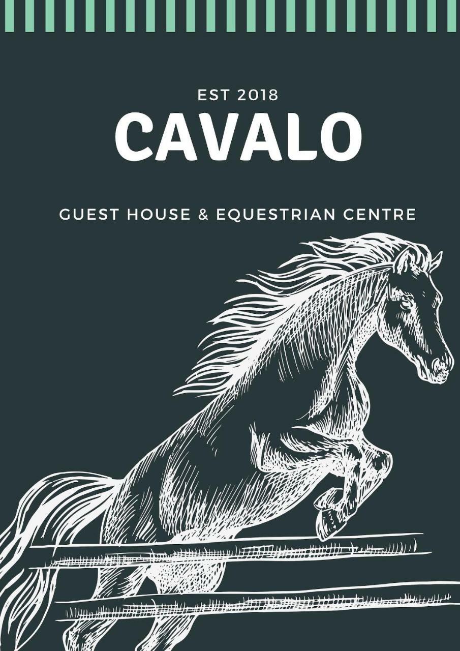 Cavalo Guesthouse & Equestrian Estate Drummond 外观 照片
