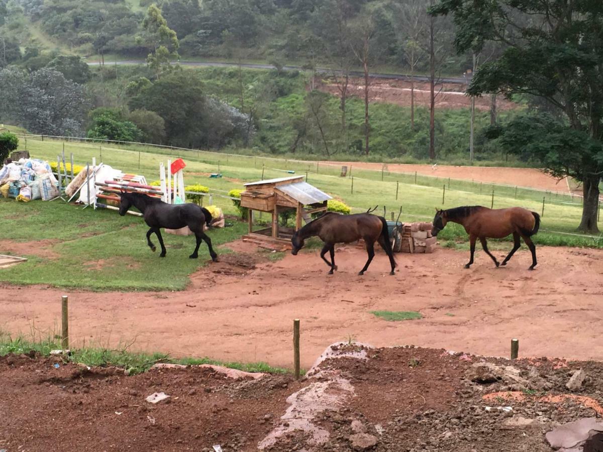 Cavalo Guesthouse & Equestrian Estate Drummond 外观 照片